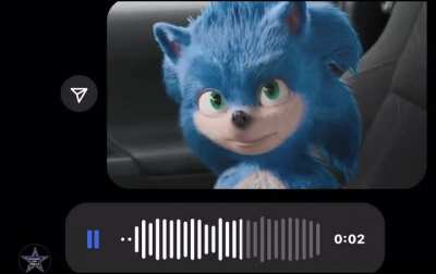 Fuck sonic
