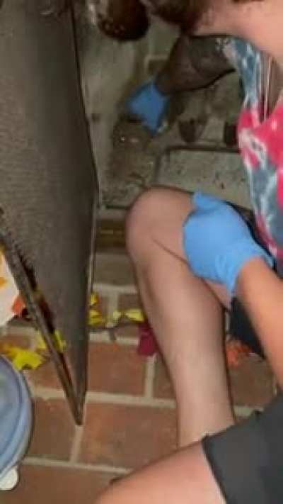 Saving a squirrel from a fireplace