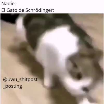 Schr&ouml;dingers cat