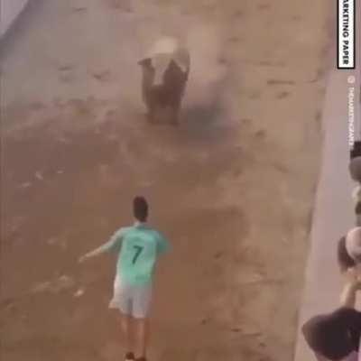 standing in front of a charging bull