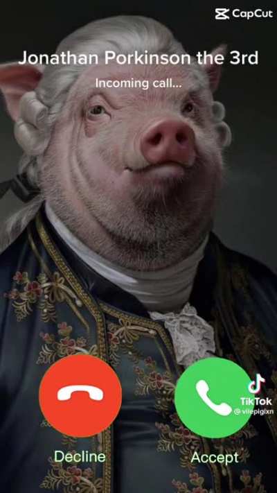 🐽