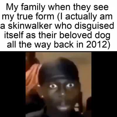 They were dumbfounded in their final moments