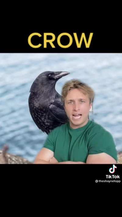 This man&rsquo;s ass is in danger