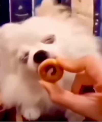 Leaked Video: Behind the scenes look of criand making the original DRS DD