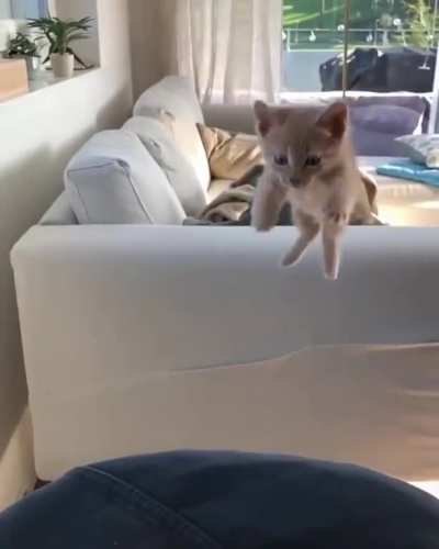 Just the wrong jump