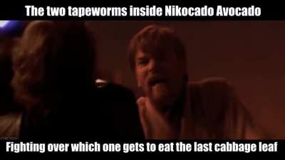 the last fiber to enter nick's body