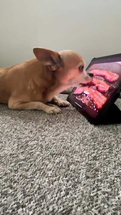 me watching mukbangs: