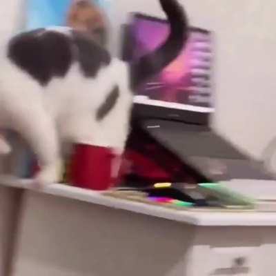 Maybe maybe maybe