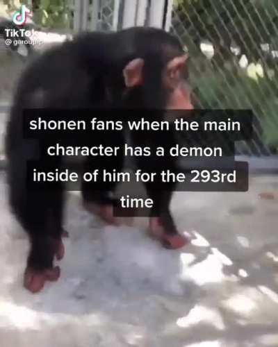 Anime + monkey meme