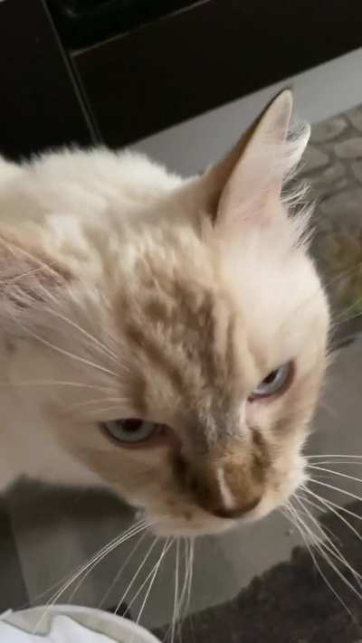 General Grievous wants something maybe?
