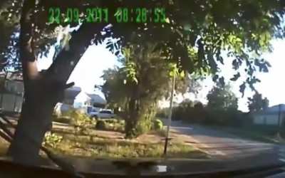 Russia: Author crashes into a handful of trees