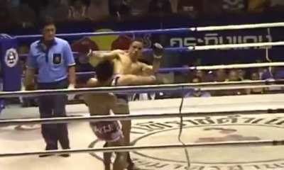 Lerdsila, The man with arguably the quickest reflexes in fighting retired this week (190 wins 32 losses)