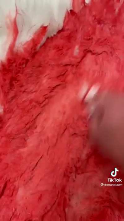 To remove paint