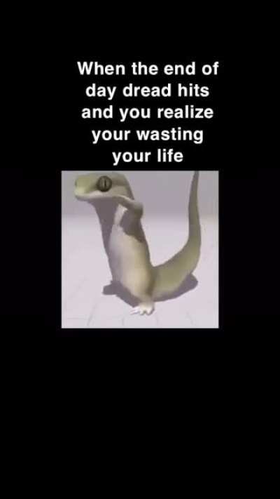 Kinda dumb but it made me laugh