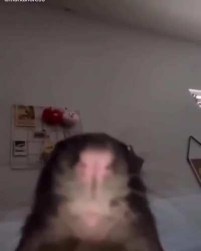 when