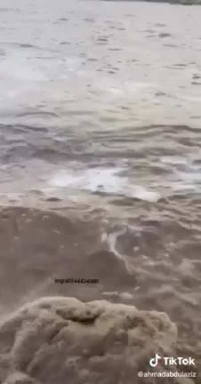 The cup just drowned