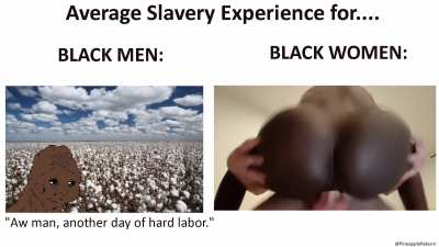 American history Y