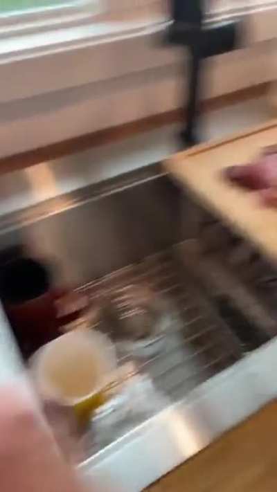 Potato