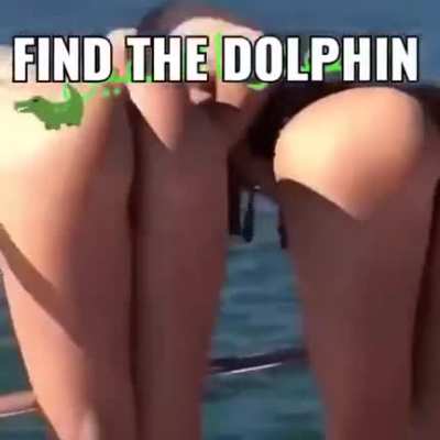 Do you see it??