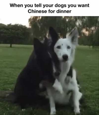 Who&rsquo;s a good (tasty) boy