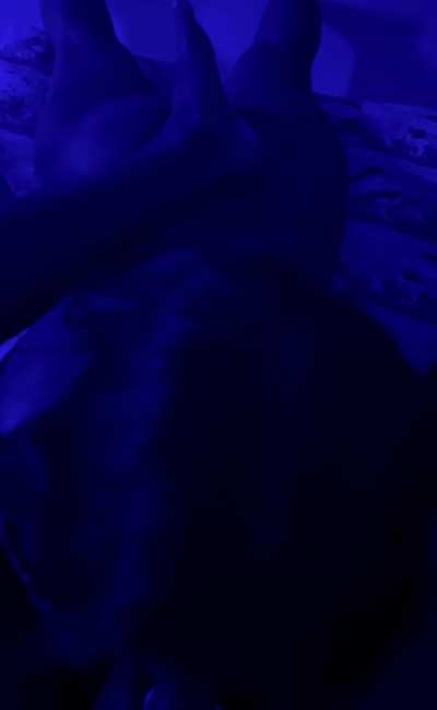 A blow in the blue