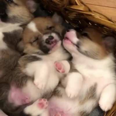 Немного милоты