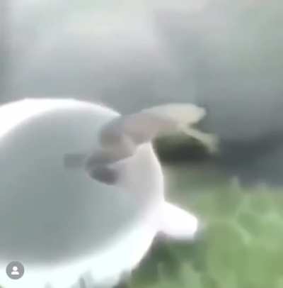 SLIMY WUNKUS!!!!!