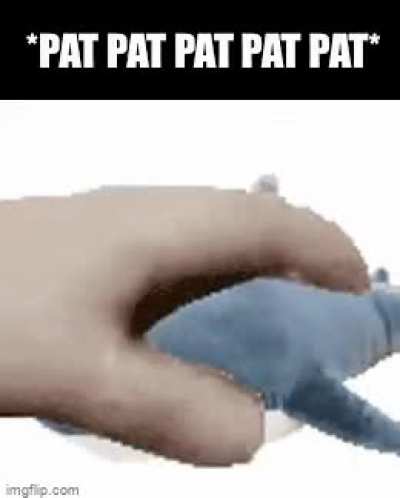 egg✋🦈irl