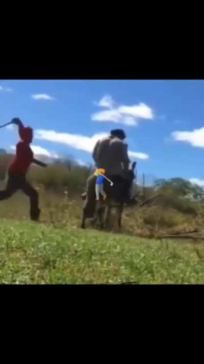 Ai meu espinhaço
