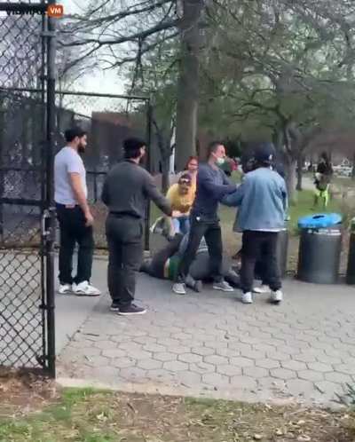 Family of 8 killed cat, assaulted Asian female owner and her dog; NYC police impedes the case, rejects witness testimony and threatens to put victim in jail if she continues to seek justice