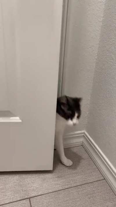 If you can&rsquo;t enter a room dramatically, is it worth entering at all?