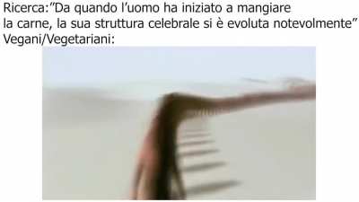 *Ironia*