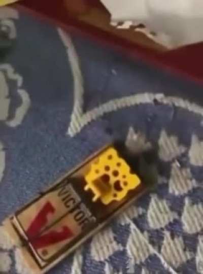 🐁