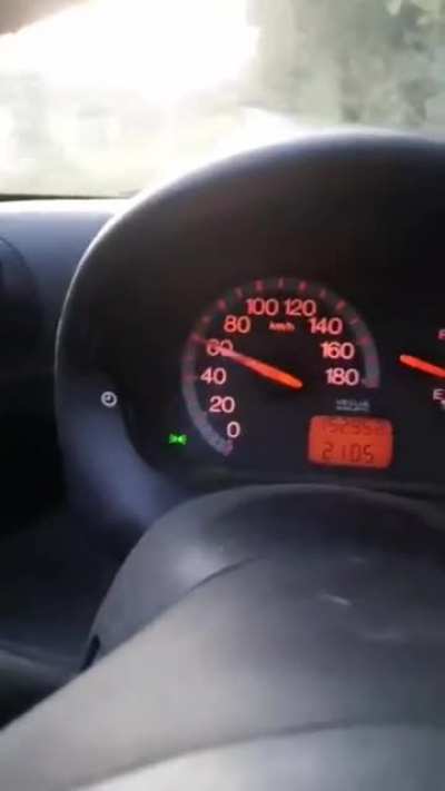 Dog keeps up with speeding car