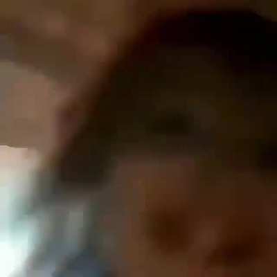 XD