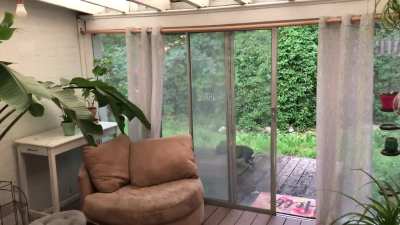 Love the sound the rain makes on my sunroom roof