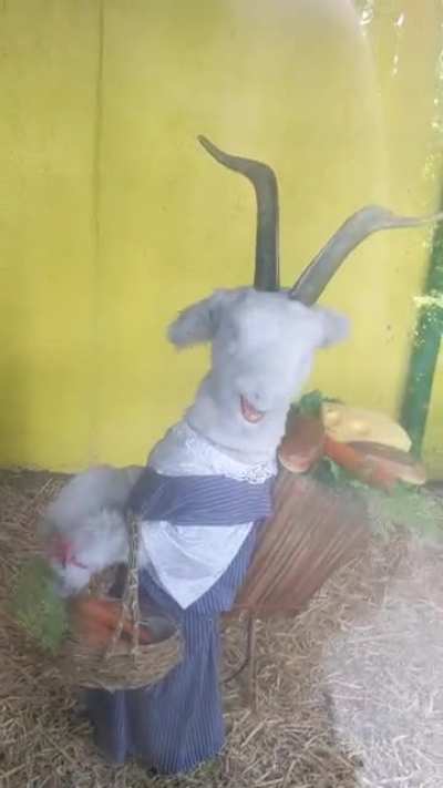 Cursed_fairytale