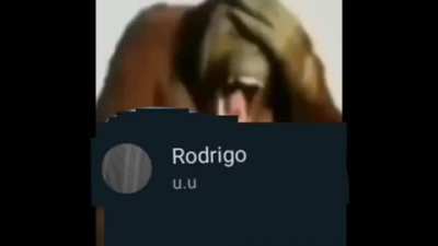 Don Rodr&iacute;guez