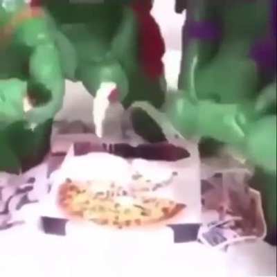 NOT THE PIZZA