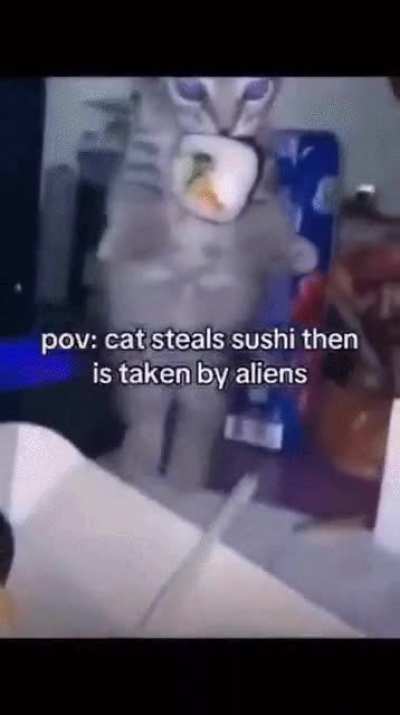 Where should i post this??