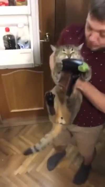 Did you just open the refri...(Non OS)
