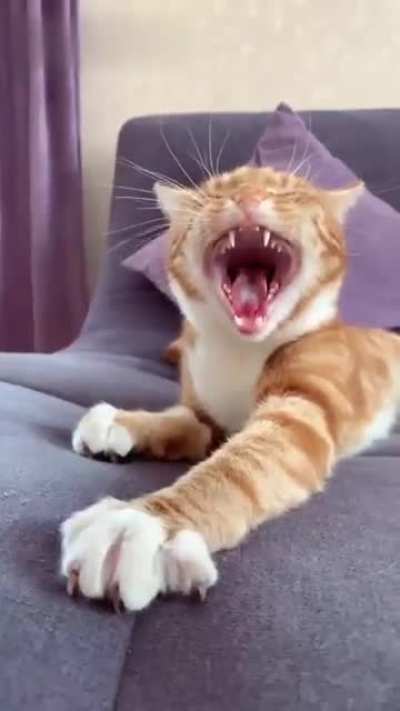 Monday