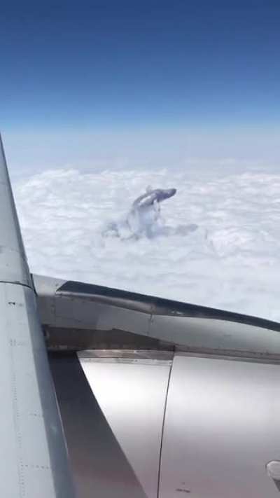For those who always believe videos on here are real and not CGI. I give u this&hellip;