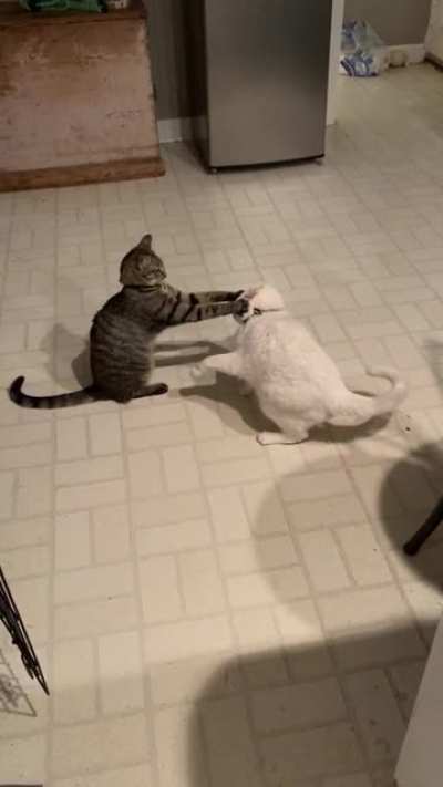 Touchy the face