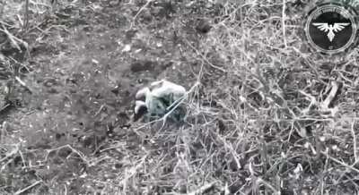 Brutal footage of Russian troops being eliminated by drones in the Avdiivka region (November 2023)