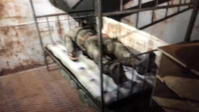 Crab from call of pripyat
