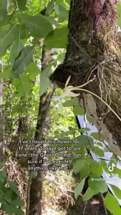 A real hunter