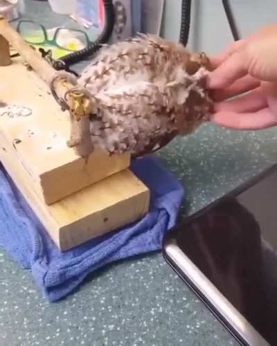 Yea. Yea. Yea, that&rsquo;s it. That&rsquo;s the spot