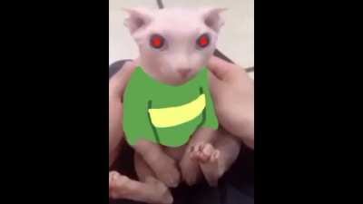 Flooooppaaaaaaaa
