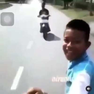 Boii flew away.